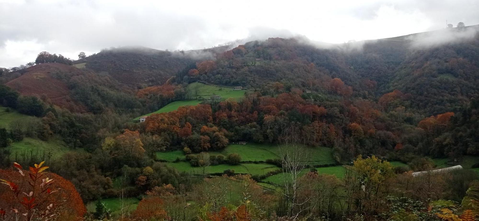 Albergue Olasenea Aterpea Zubieta Dış mekan fotoğraf