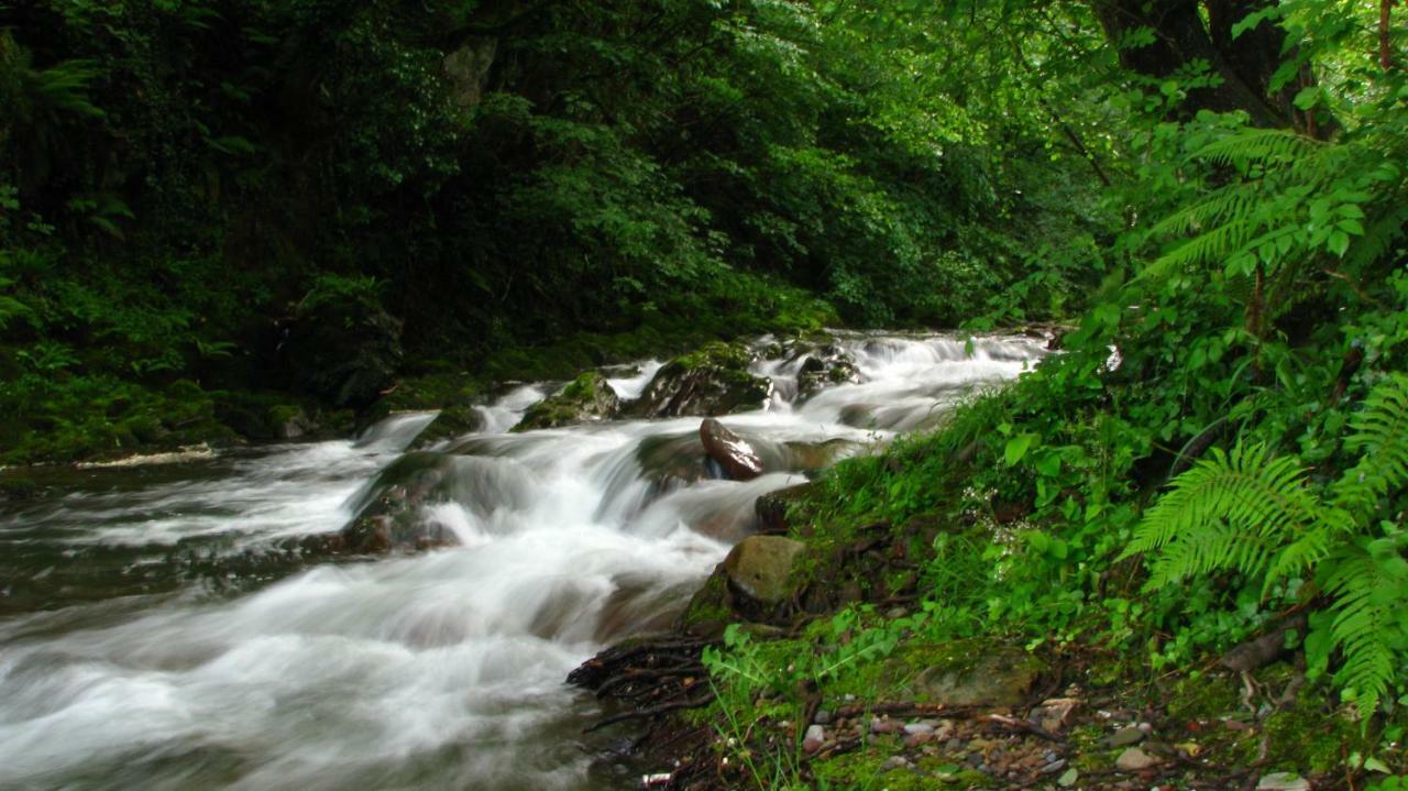Albergue Olasenea Aterpea Zubieta Dış mekan fotoğraf