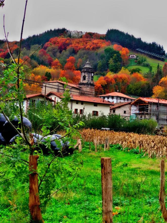 Albergue Olasenea Aterpea Zubieta Dış mekan fotoğraf